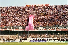 Curva-Sud-goliardica-Sa-Verona-94-95