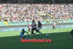 IMG-20241006-WA0030