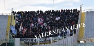 tifosi fiorentina salernitana