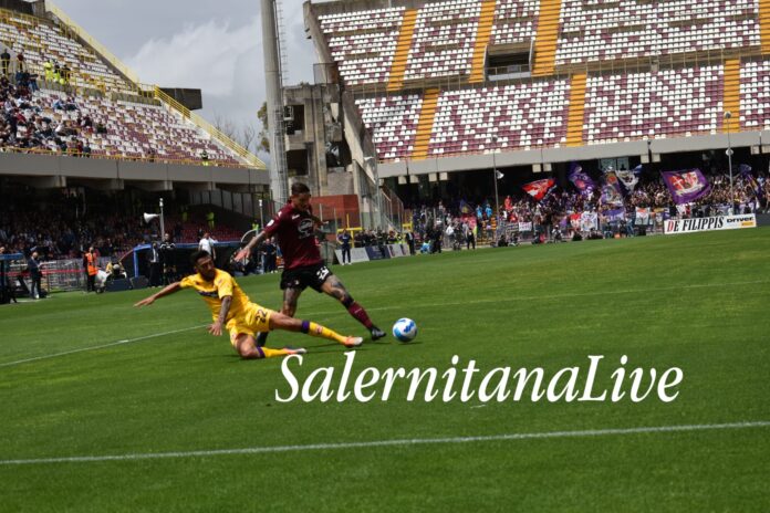 salernitana-fiorentina