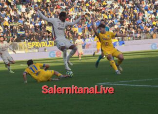 Salernitana Frosinone i convocati. Breda in conferenza precisa: ” bisogna trasformare la frustrazione in carica col supporto dei tifosi”