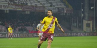 Le parole di Cosmi prima di Salernitana-Potenza di domani sabato 28 marzo 2026 ore 14.30